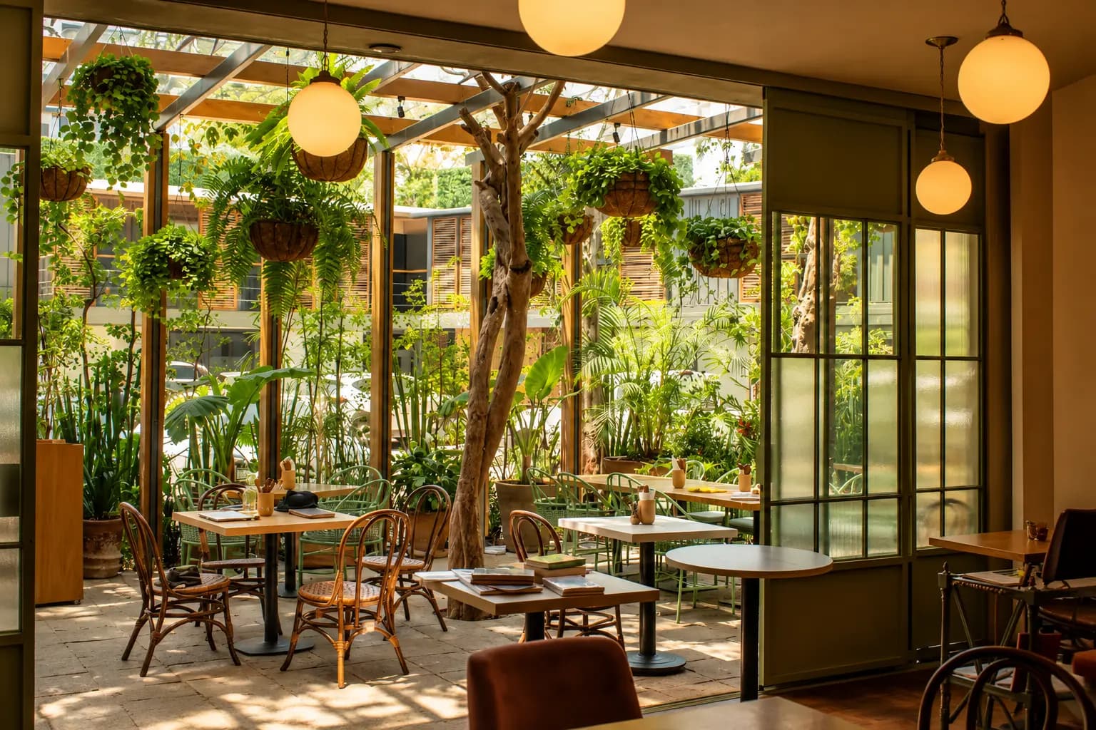Damiana, Café y Libros