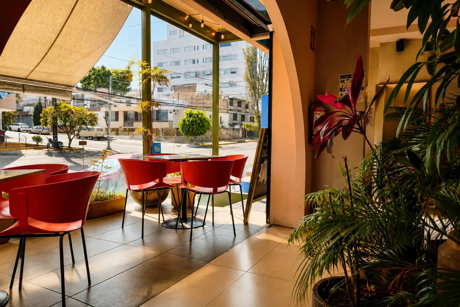 Icarus Café